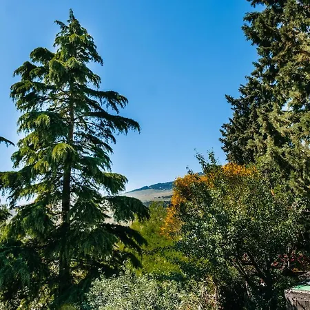 Sicilian Mountain Oasis Nicosia