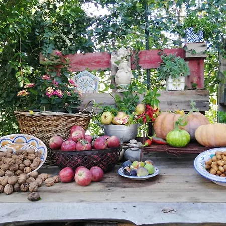 Sicilian Mountain Oasis - Entire Nicosia