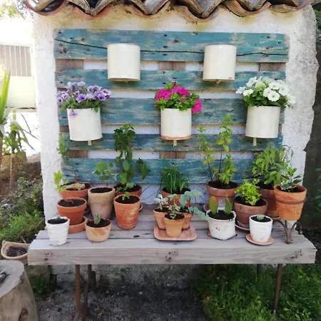Villa Sicilian Mountain Oasis Nicosia