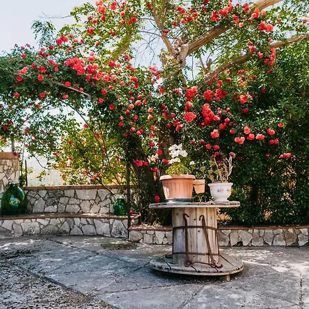 Sicilian Mountain Oasis *
