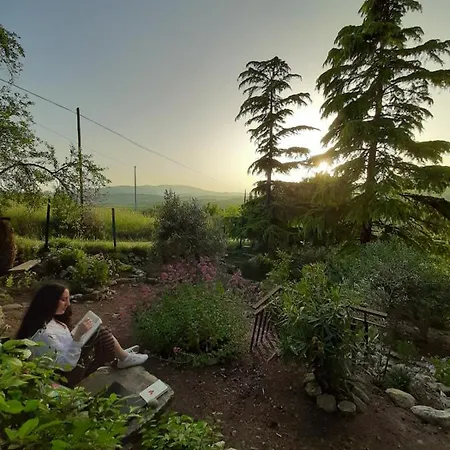 Villa Sicilian Mountain Oasis Nicosia