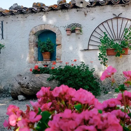 Sicilian Mountain Oasis Nicosia